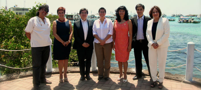 ViceSalud en XXXIV Reunión de Ministros de Salud del Área Andina (REMSAA)