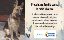 Información Minsalud