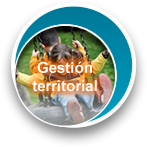 Planeacion y gestion territorial