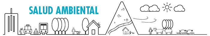 Salud ambiental