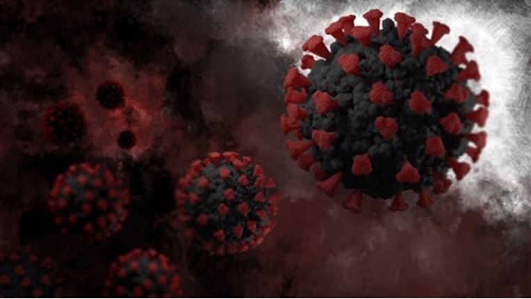 Cultura de la seguridad social