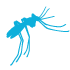 ícono Aedes aegypti