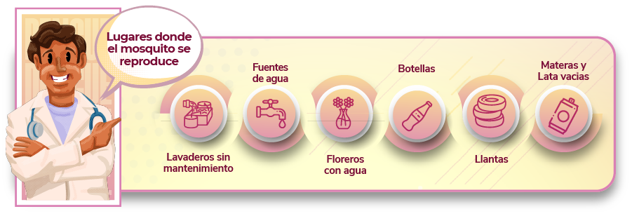 lugares de reproducción del mosquito:Lavaderos sin mantenimiento, Fuentes de agua, Floreros con agua, Botellas, Llantas, Materas y latas vacías
