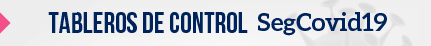 SegCovid-19 Colombia
